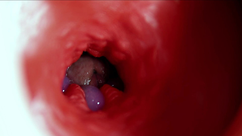 SEXY_GUYBEST: 一根美丽的大鸡巴大量流进湿润的湿润小穴并被狠操！