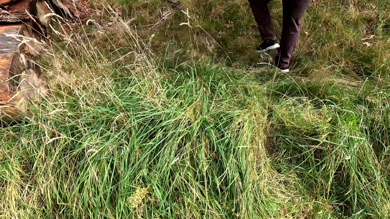 Bouncy Tits Action: Vagina and Tit Punishment in the Woods
