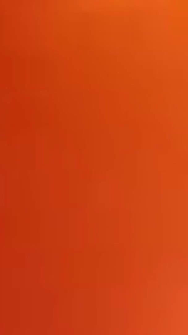 Nicoletta Embassi: Inside Me the Journey of the Orange