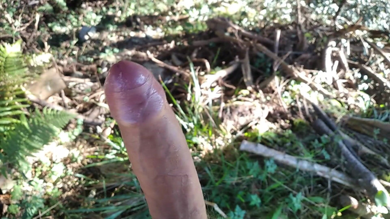 Elvissc: Alter mann mit einem riesigen schwanz ging auf eine wanderung...