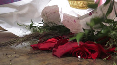 Solo Austria: Zepsuta księżniczka miażdży róże i czekoladki swojego wielbiciera niewolników!