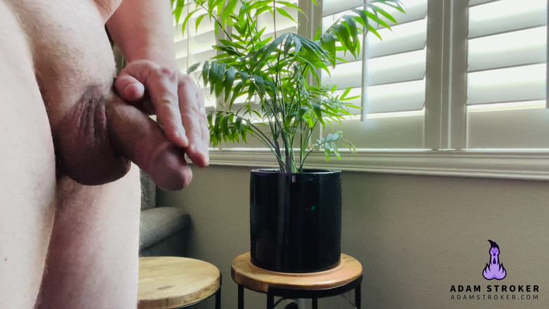 Adam Stroker: लोशन अप और विस्फोट