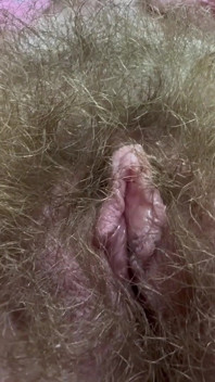 Harig poesje en sigaar close-up