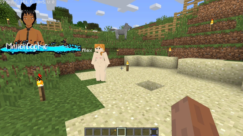 Manor Cookie: Minecraft Jenny mod fapcraft zijn Alex, de gespierde stiefmoeder, en...