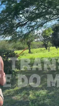 Here the News Is Frequent, Come Play in the Hottest Trans House in the World, News Every Week, Lots of Sex.