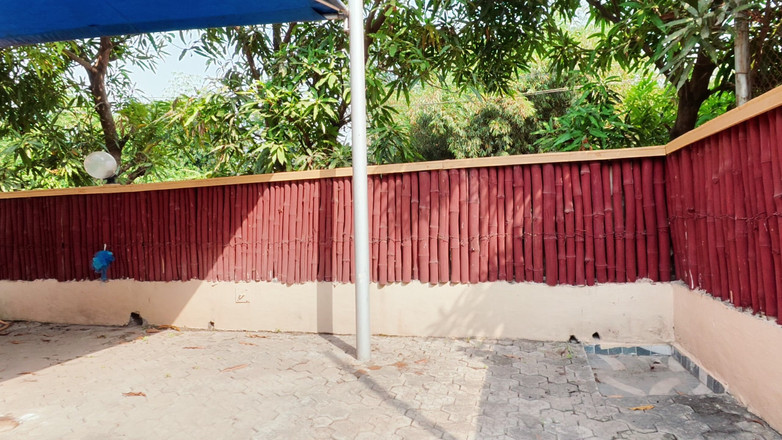 Black Swan: 勉强在泳池边做爱