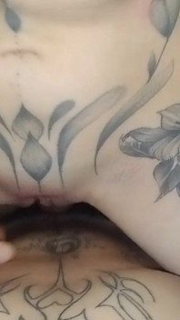 Vagina Rubbing on Penis