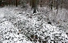 Le campane suonano per il giorno di San Nicola
