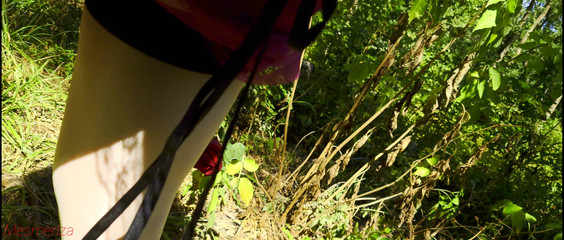 Mesmeriza: Mesmeriza sammanställning 13 Dream Island