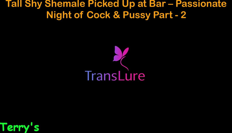 TransLure: English Audio Sex Story - Tall Shy Shemale Picked up at...