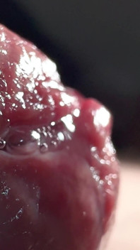 Crocodile Mouth Releases Fluid