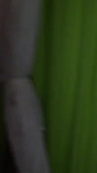 Yougn arab fucked barebakc by Fred for fun sex