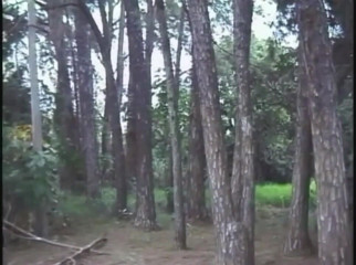 Shemale videos: Latynoski prosto ssie seksowny shemale na świeżym powietrzu