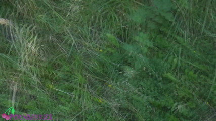 Ethan Alex: Dangerous outdoor situations