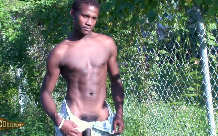 CocoDorm: Sexy Sylk
