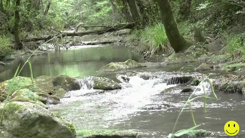French Amateur Porn: 32 year-old French slut ass fucked by the river