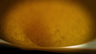 Julie_Bliss: Giganta Conejita tiene hambre