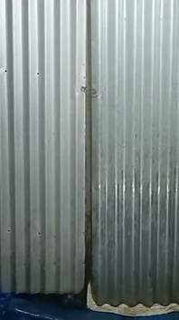 Vidéo Du Matin