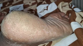 Свиня має великі ноги і попросила рогоносця прийти лизати альбом рогоносця, доступний там