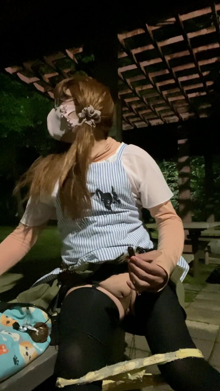 megu2002: No. 282 a Nighttime Exhibitionist Stroll in the Park