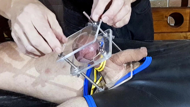 Master Drex: Toy for balls