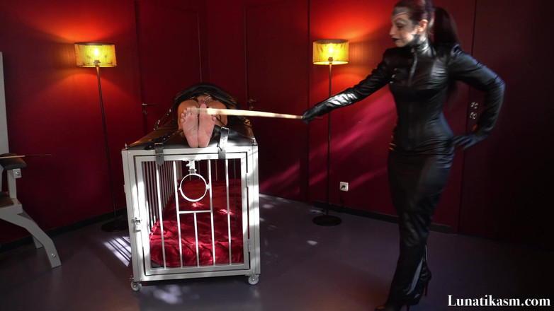 Mistress Lunatika: 厳重なレザーのバスティナード - ミストレス・ルナティカ