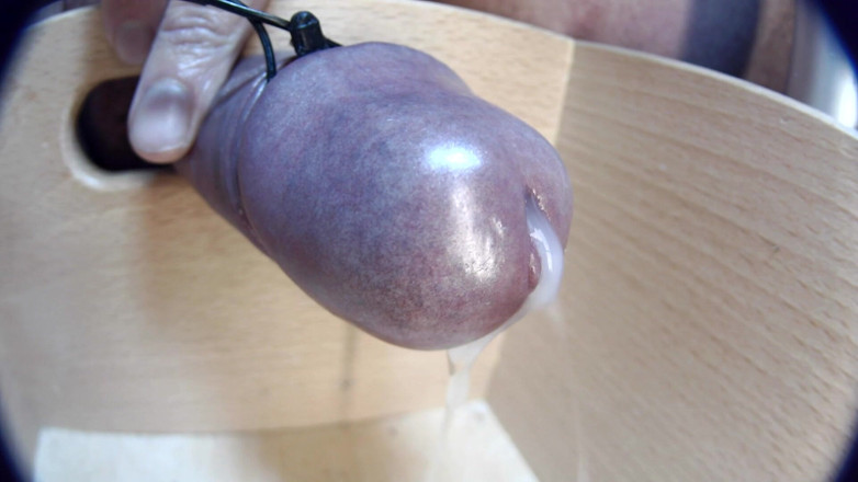 Gaylectrician: Сперма крупним планом 21-11-12