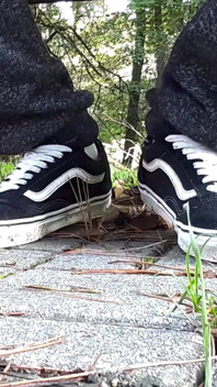Mein vans Schuhspiel