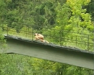 Hardcore German Club: Questa bionda tedesca è stata distrutta durante l'escursionismo