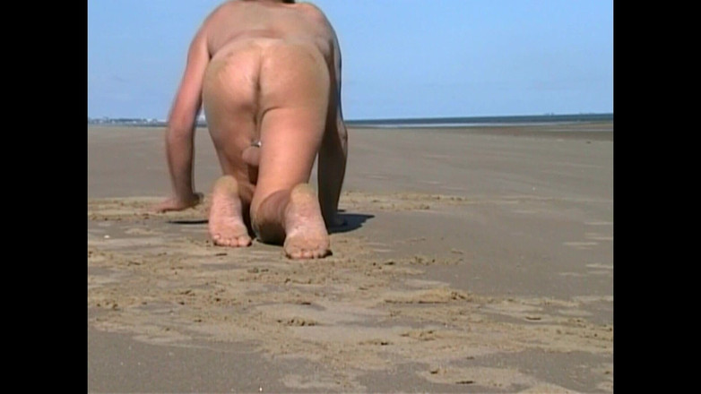 Andy: Bot of Old Video