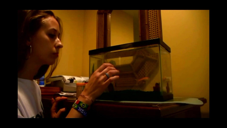 Punished Brats Spanking: Джоел чекає свого лупцювання