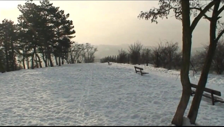 The Unforgettable: Karda döl senin için iyi