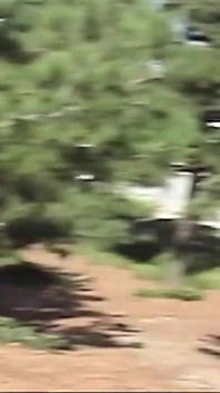 Pasangan amatir ngentot habis-habisan di hutan