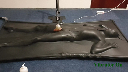 NL Milking: Milked by controlled vibrator in vacbed