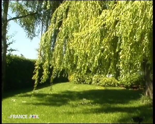 French Family Secrets: クソ地獄、彼女は良いです!