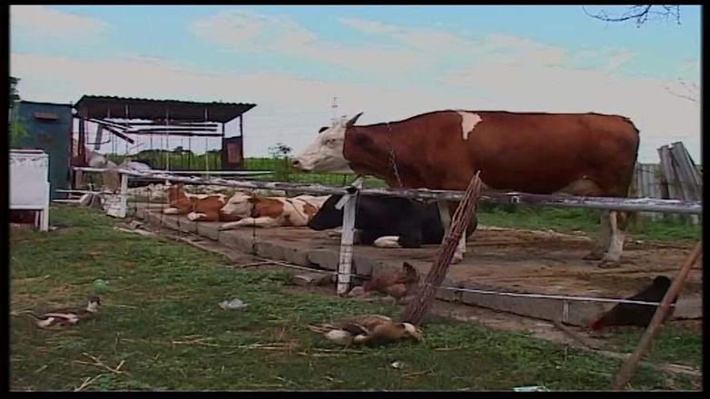 Vintage Movies XXX Best of: Vintage blondynka MILF zachwycona w stodole i na zewnątrz