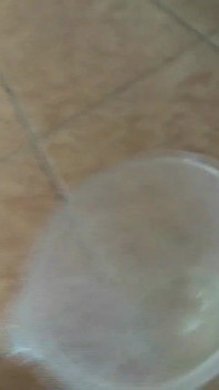 My stepsister's training to become a porn star
