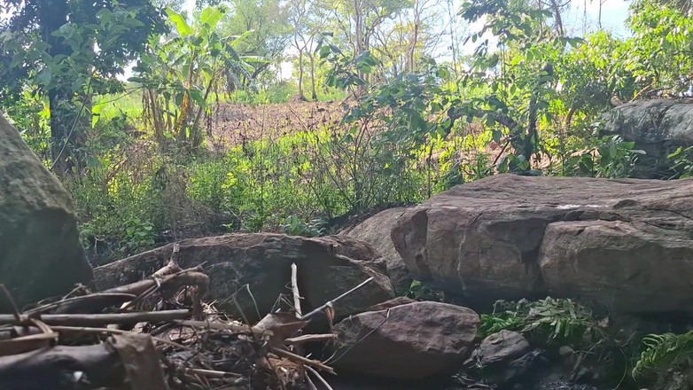 BMCs: Ztracený penis, daleko od všeho, vzrušený, hledá lepší velký penis