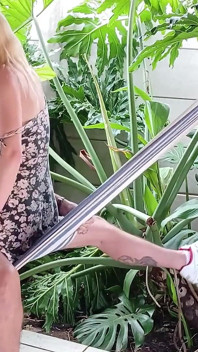 Hawaii Fuck Outdoor with Small Petite Hawaian Blonde