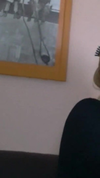 Napalone gilfs w pończochach dzielą się kutasami w orgii