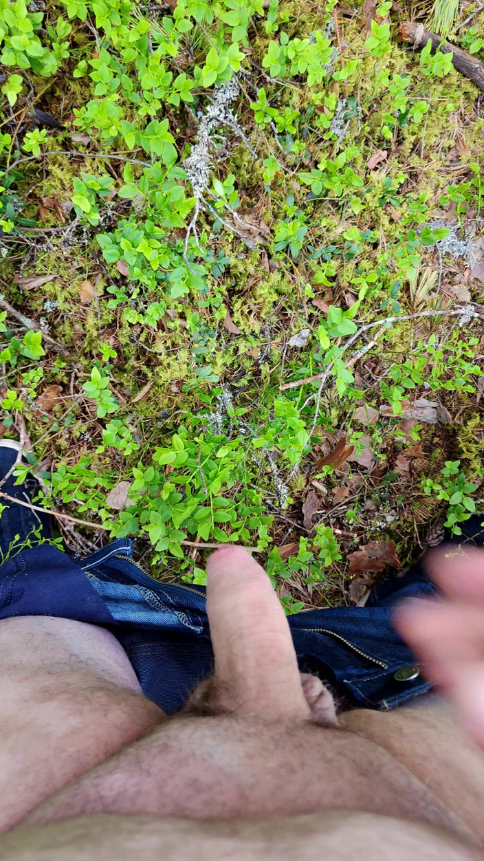 Stiansr: Hứng tình trong rừng