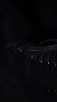 Snake Skin Boots