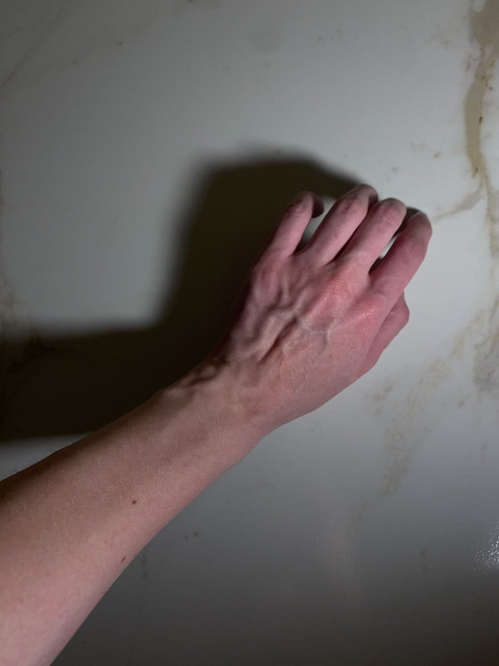 Princess Aisha: Oh sexy vene gonfie