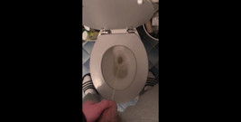 Hunter Bradley: Hunter Bradley, compilation de pisse