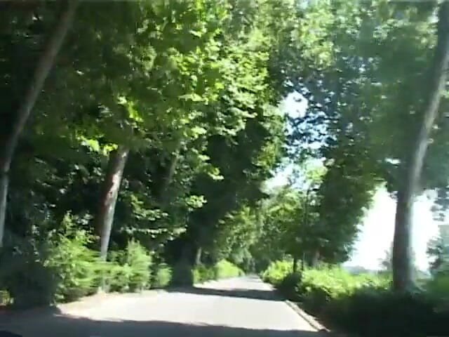 King Of Amateur: Nimm diesen schwanz und lauf