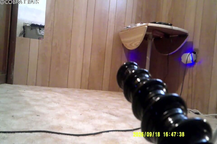 COBRA CRAIG: 9-18-26 Cam1 Cobra Craig di video mesin seks