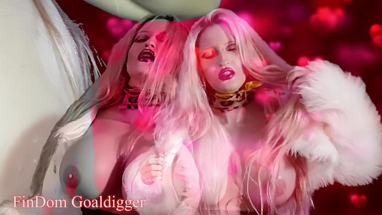 FinDom Goaldigger: Fuck like a humandog