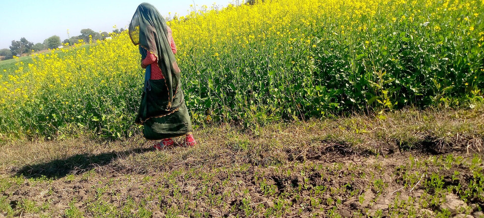 Ritu: 继妹向继兄弟展示她的阴户