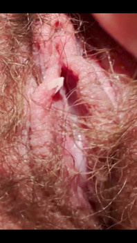 An Extreme Close-up of the Creamiest Pussy