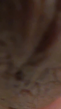 Zbliżenie Desi Dick